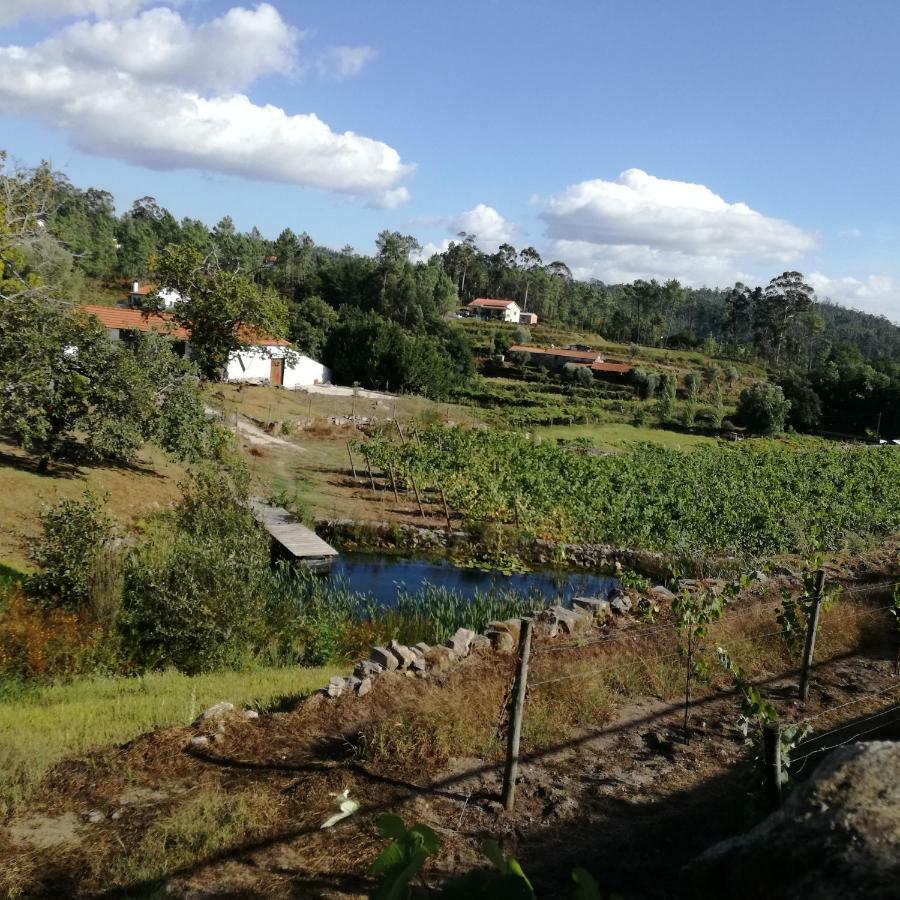 Casa Na Quinta De Valinhas Leilighet Vitorino dos Piães Eksteriør bilde
